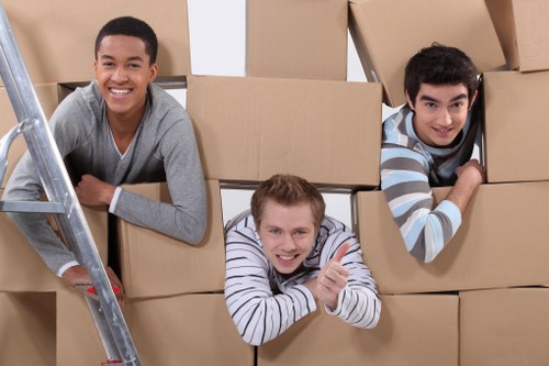 Kingston man and van helping with a flat move and loading