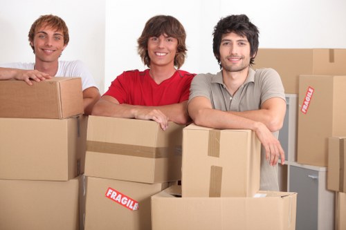 Selection of sturdy moving boxes for Kingston customers
